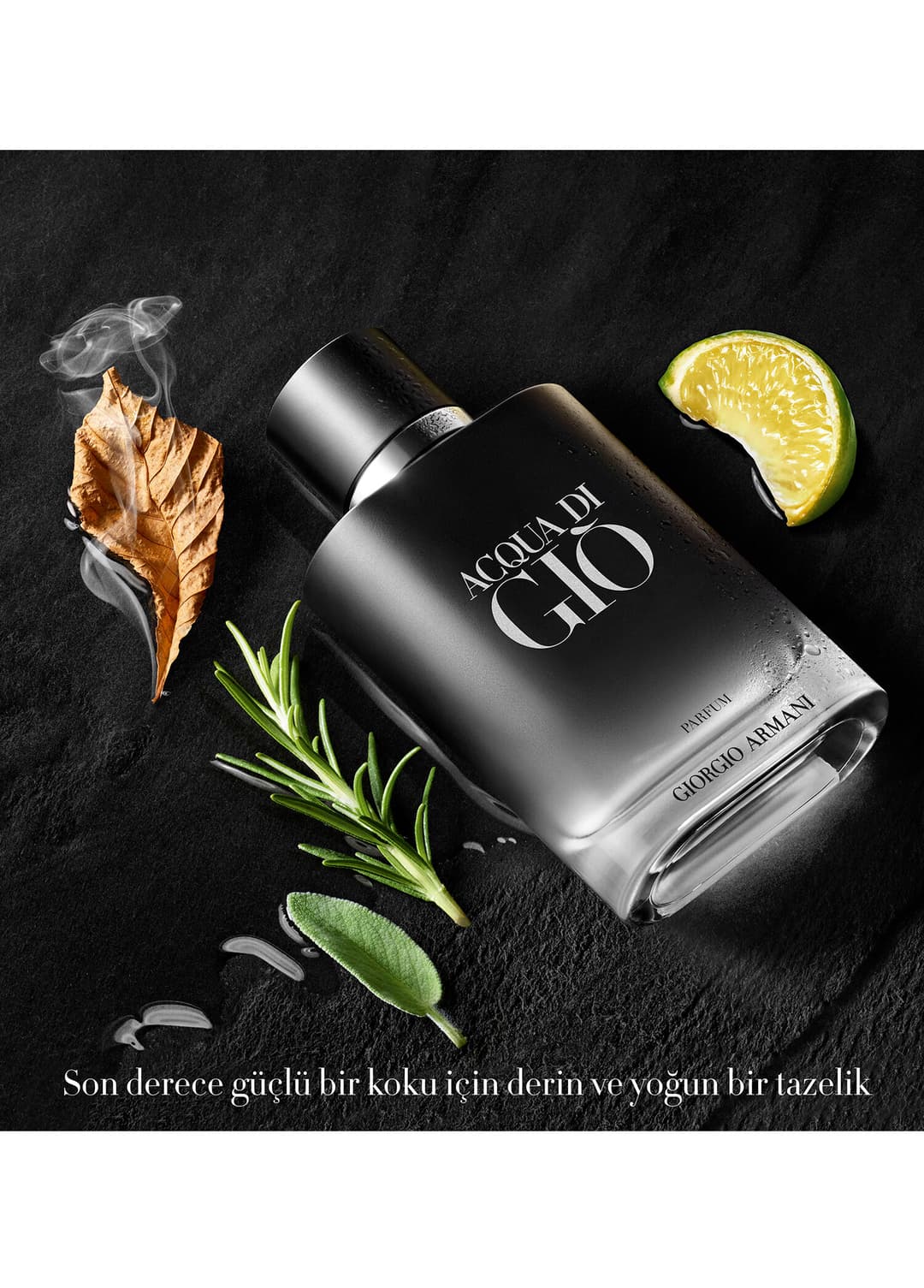 Giorgio Armani Acqua Di Gio Profumo 100ml Erkek Tester Parfüm görsel 2