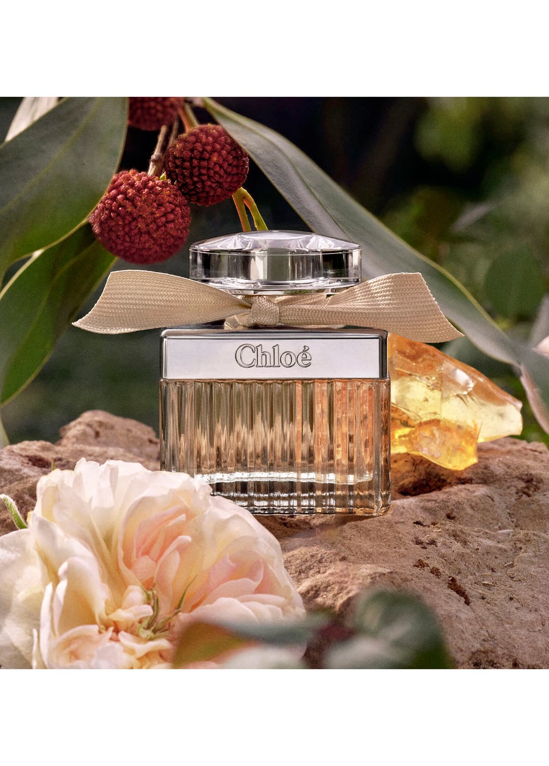 Chloe Signature Eau De Parfum 75ml Bayan Tester Parfüm görsel 2